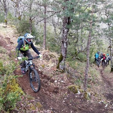 Cours VTT adultes, cours en chemin pleine nature, Aveyron