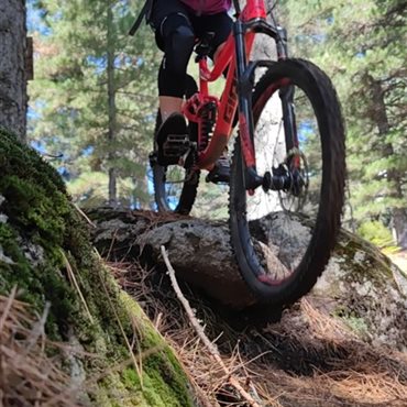 Cours VTT adultes typés enduro pour débutants et experts, Millau